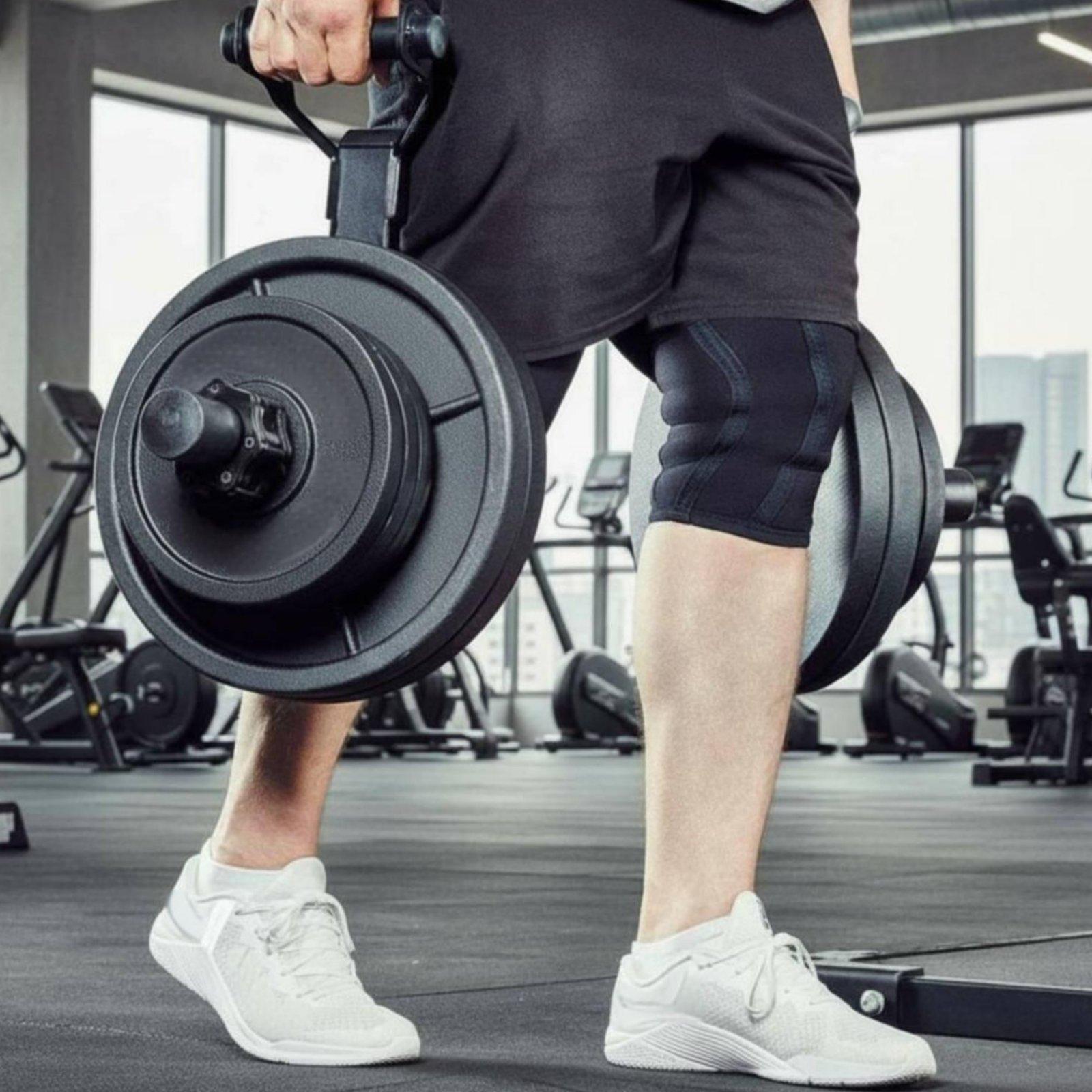 حامل أقراص الأوزان متعدد الأحج - مراجعة Fitness Equipment وسعره
